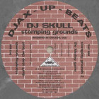DJ Skull - Stomping Grounds (VLS)