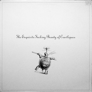 The Exquisite Fucking Beauty Of Crawlspace (Vinyl)