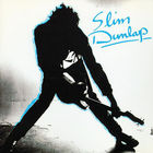 Slim Dunlap - The Old New Me