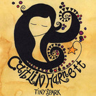 Caitlin Harnett - Tiny Spark (EP)