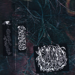 Allegory Of Allergies CD1