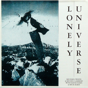 Lonely Universe