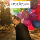 David Fonseca - Seasons Falling