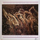 Anthony Davis - Variations In Dream-Time (Vinyl)
