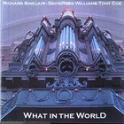 Richard Sinclair - What In The World