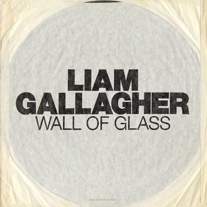 Wall Of Glass (CDS)