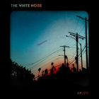 The White Noise - Am / Pm