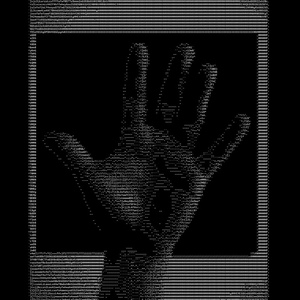 The Dynamic Dispatch CD2