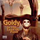 Goldy - In The Land Of Funk