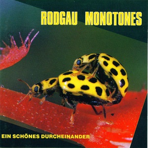 Ein Schones Durcheinander