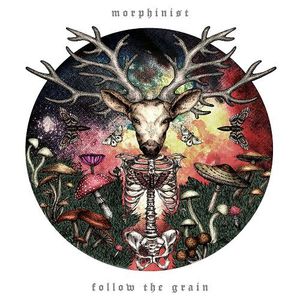 Follow The Grain