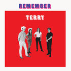 Remember Terry