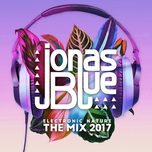Electronic Nature - The Mix 2017 CD1