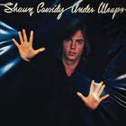 Shaun Cassidy - Under Wraps (Vinyl)