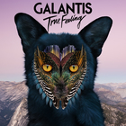 Galantis - True Feeling (CDS)