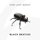 Our Last Night - Black Beatles (Rae Sremmurd Cover) (CDS)