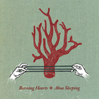 BURNING HEARTS - Aboa Sleeping