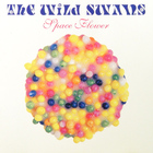 The Wild Swans - Space Flower (Reissued 2008)