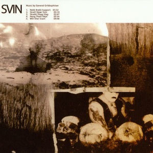 Svin