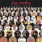 Big Country - Singles Collection Vol. 3 ('88-'93) CD6