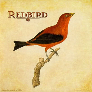 Redbird (With Peter Mulvey)