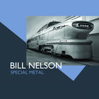 Bill Nelson - Special Metal