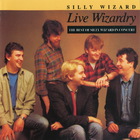 Live Wizardry: The Best Of Silly Wizard In Concert