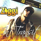 Ziggi Recado - In Transit