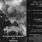 Self-Inflicted Violence - Fell To The Veil Of Darkness And Extinction