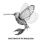 World Of The Waking State