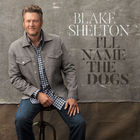Blake Shelton - I'll Name The Dogs (CDS)