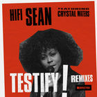 Testify (Feat. Crystal Waters) (CDR)