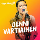 Jenni Vartiainen - Keinu (Vain Elämää Kausi 7) (CDS)