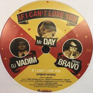 If I Can Love You (VLS)