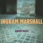 Ingram Marshall - Three Penitential Visions - Hidden Voices