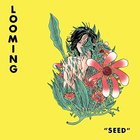Looming - Seed