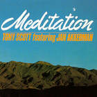 Prism Later On Meditation (Vinyl)
