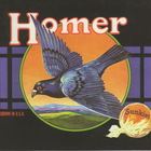 Homer - Grown In U.S.A. (Reissued 2012)