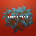 Baby I Won't (CDS)