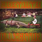 Robert Hunter - Alligator (With Comfort) (Vinyl)