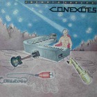 Antonio Adolfo - Conexões (Vinyl)
