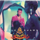 Little Shawn - The Voice In The Mirror