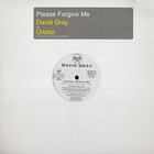 David Gray - Please Forgive Me (VLS)