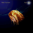 Nad Sylvan - Sylvanite (Reissued 2011)