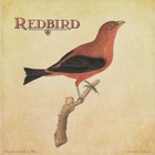 Peter Mulvey - Redbird