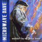 Microwave Dave & The Nukes - Wouldn't Lay My Guitar Down