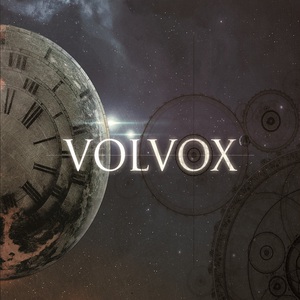 Volvox