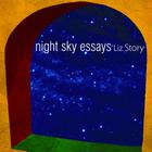 Liz Story - Night Sky Essays