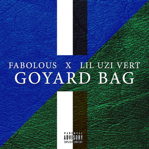 Goyard Bag (CDS)