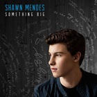 Shawn Mendes - Something Big (CDS)